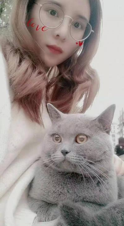 南京猫猫妹子